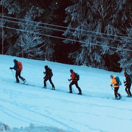 فيلا Saint-Jean-dʼAulpsفي Les Sapins المظهر الخارجي الصورة